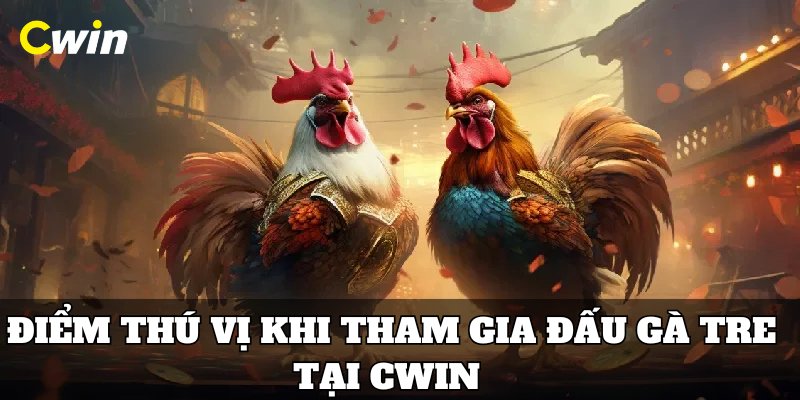 Điểm thú vị khi tham gia đấu gà tre tại cwin 